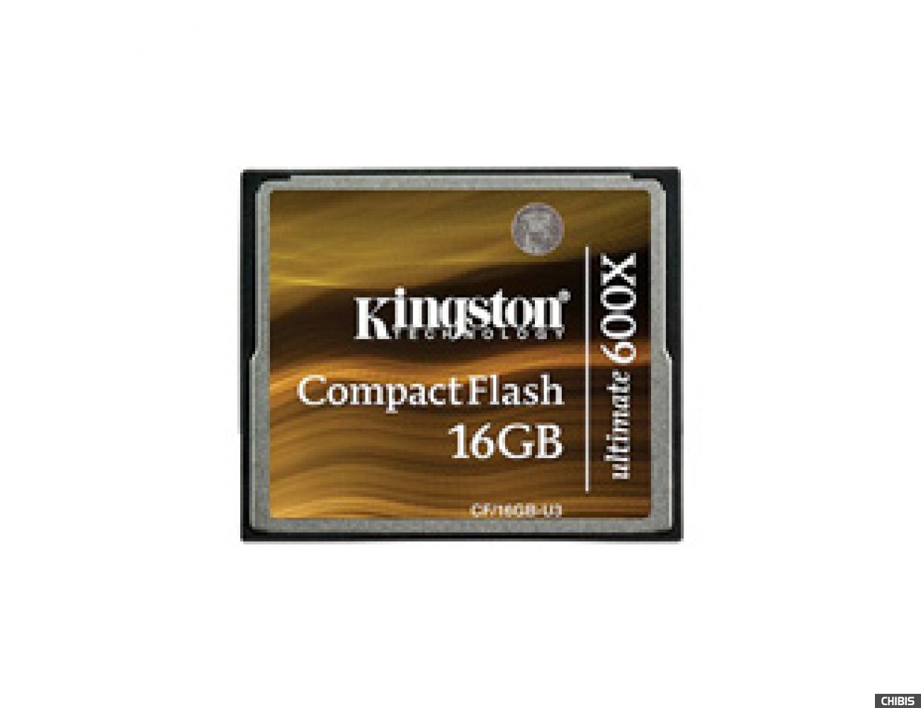 Карта памяти Kingston Compact Flash 16GB (600x)